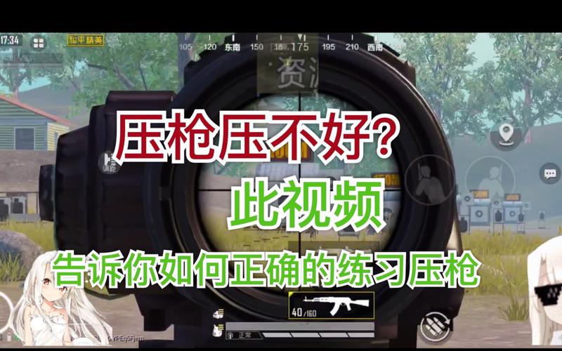 和平精英压抢辅助_和平精英小鱼框架助手版_和平精英辅助软件下载